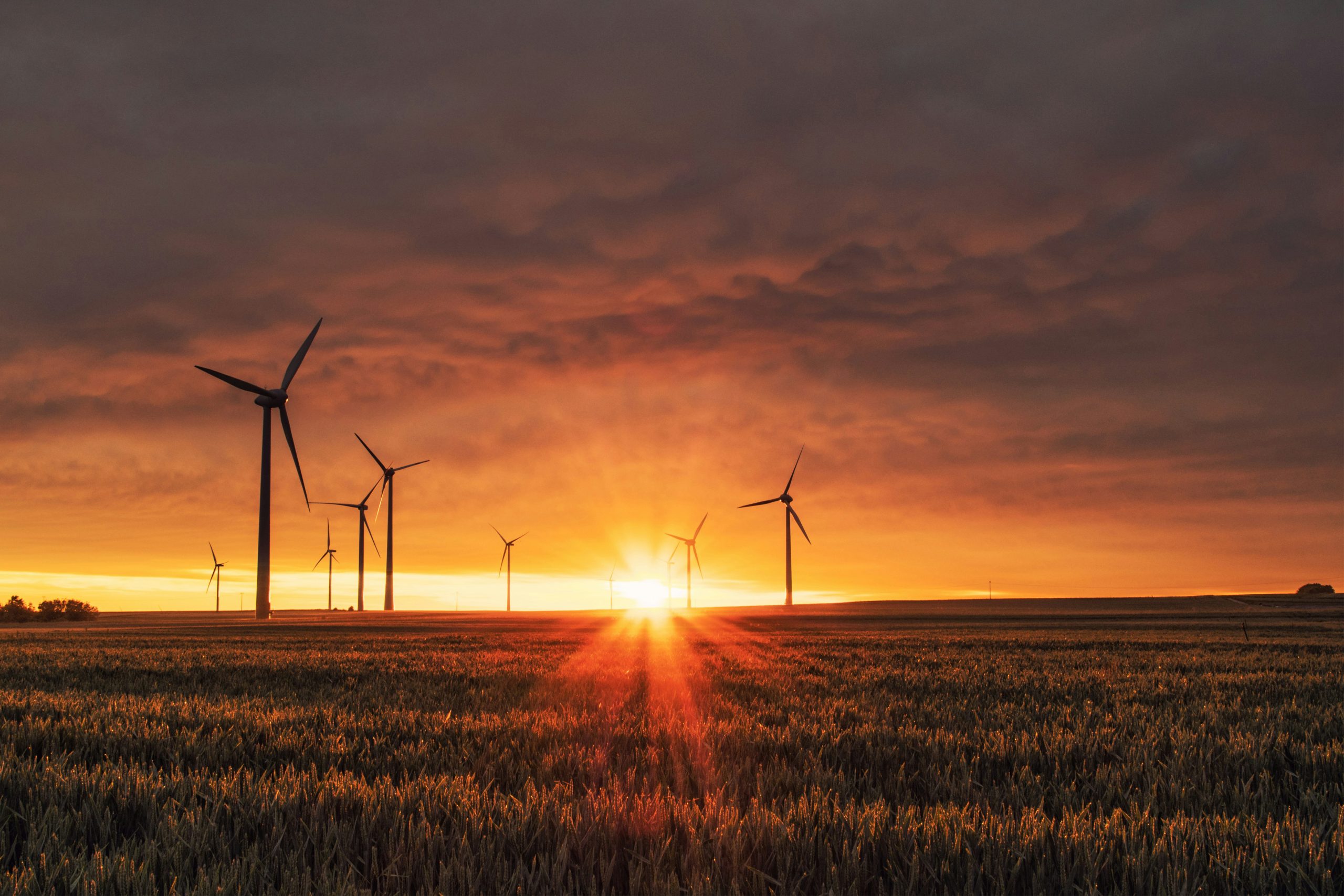 Innovación en Sostenibilidad